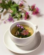 Plantas medicinales.jpg